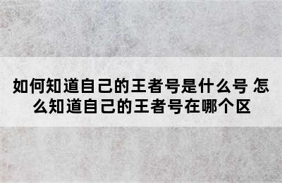 如何知道自己的王者号是什么号 怎么知道自己的王者号在哪个区